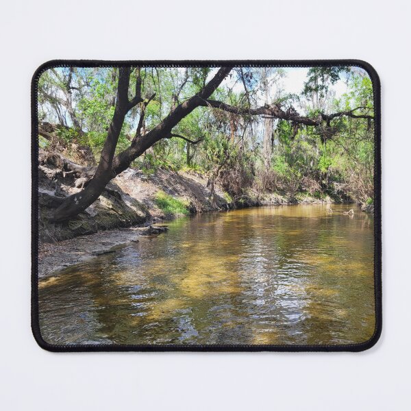 Item preview, Florida creek and trees designed and sold by reformedfruit.