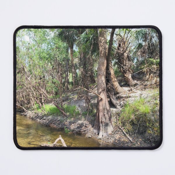 Item preview, Florida nature designed and sold by reformedfruit.