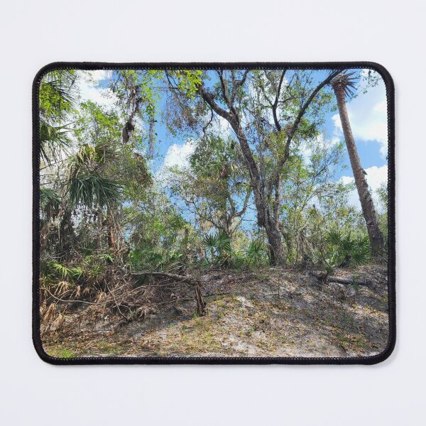 Item preview, Florida nature designed and sold by reformedfruit.