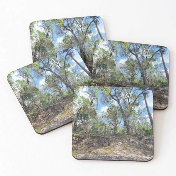Item preview, Florida nature designed and sold by reformedfruit.