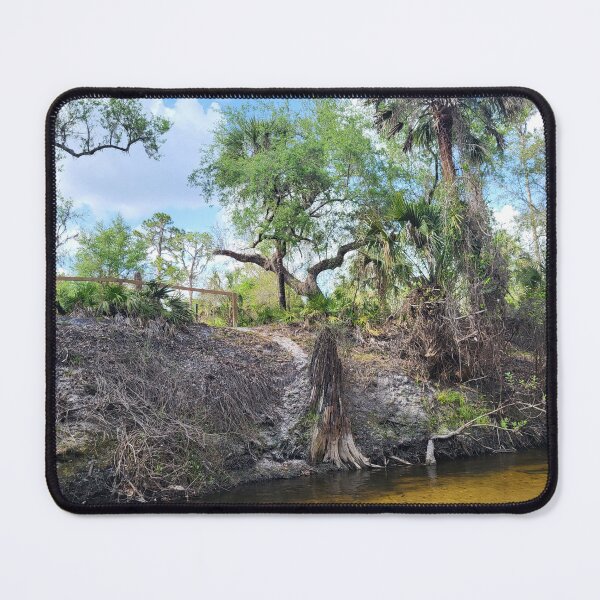 Item preview, Florida nature designed and sold by reformedfruit.