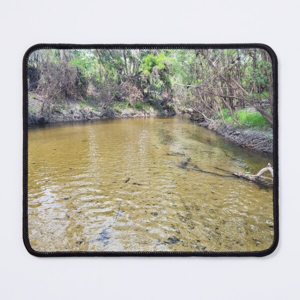 Item preview, Florida nature designed and sold by reformedfruit.