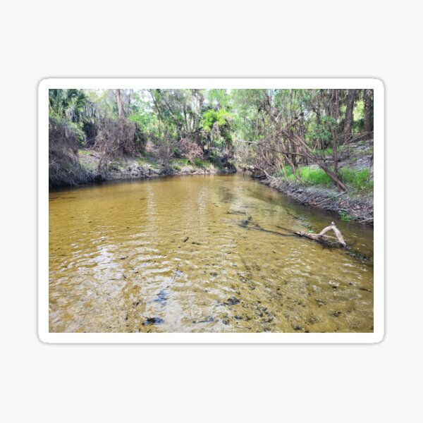 Item preview, Florida nature designed and sold by reformedfruit.