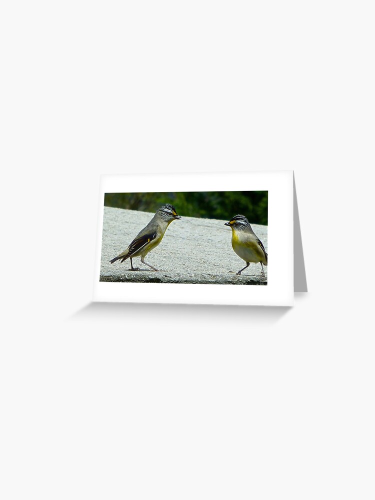 Thumbnail 1 of 2, Greeting Card, PARDALOTE ~ Striated Pardalote qeLEFJ6H by David Irwin ~ WO designed and sold by tasmanianartist.