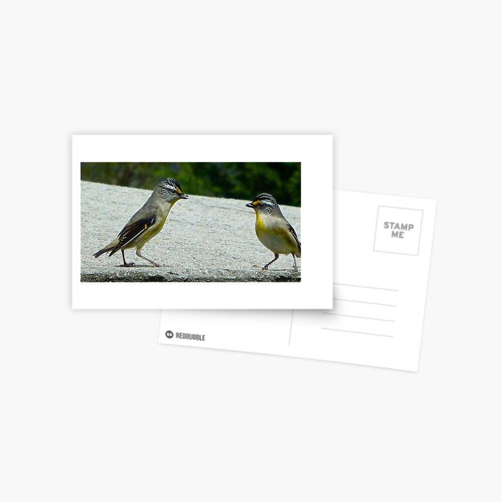 Item preview, Postcard designed and sold by tasmanianartist.