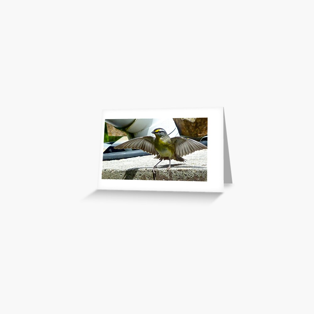 Item preview, Greeting Card designed and sold by tasmanianartist.