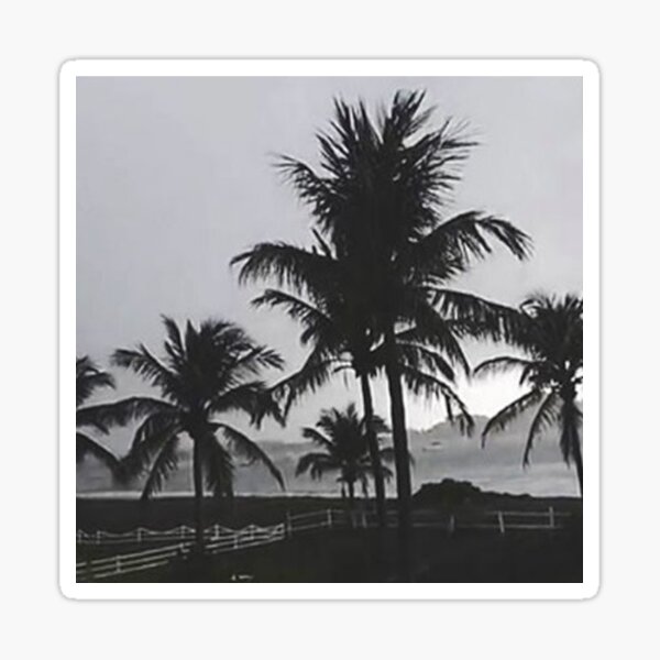 Palm Trees On The Horizon Sticker