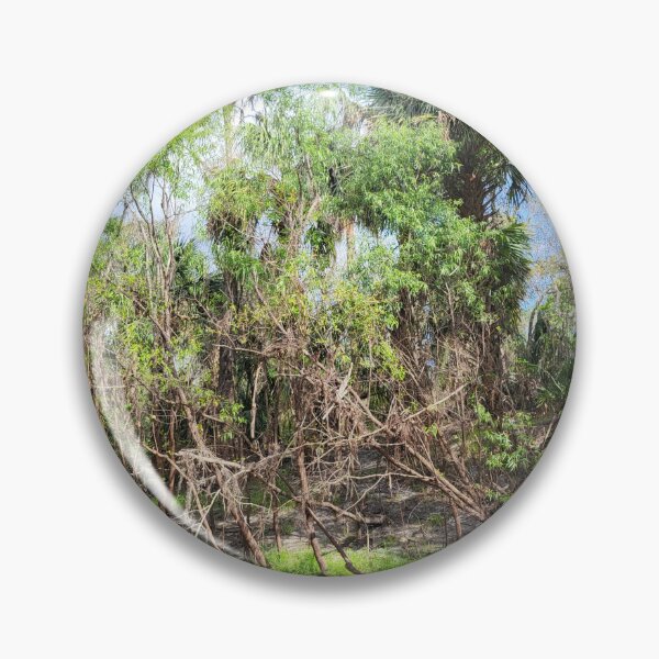 Item preview, Florida nature designed and sold by reformedfruit.