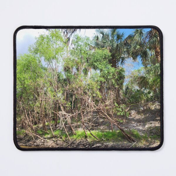 Item preview, Florida nature designed and sold by reformedfruit.