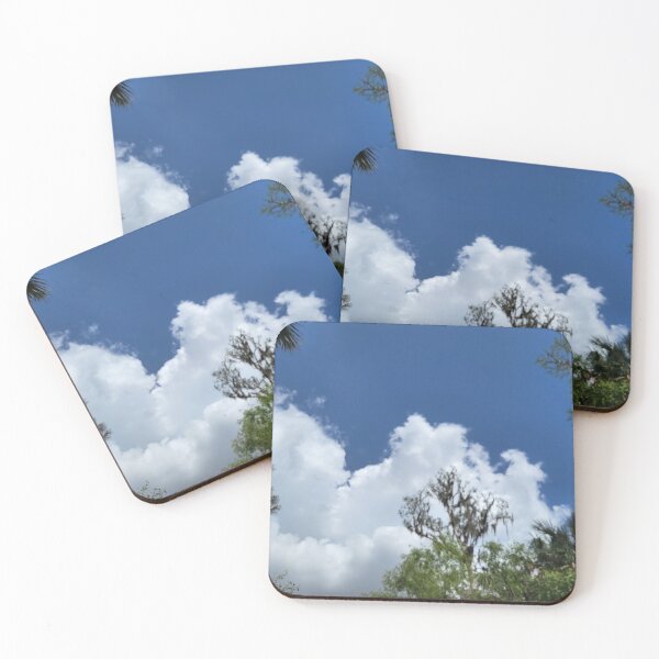 Item preview, Florida sky designed and sold by reformedfruit.
