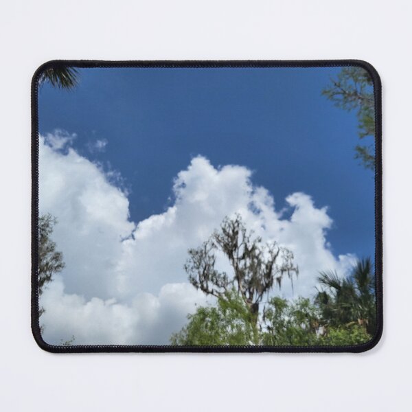 Item preview, Florida sky designed and sold by reformedfruit.