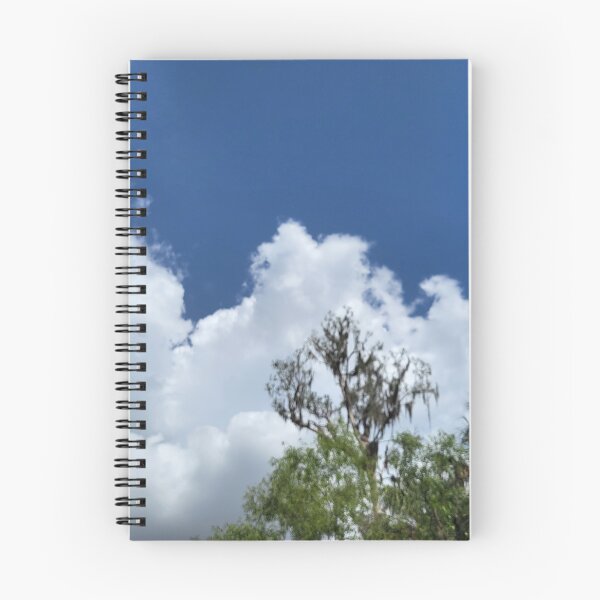 Item preview, Florida sky designed and sold by reformedfruit.