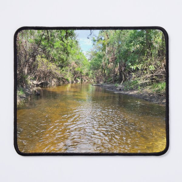 Item preview, Florida creek designed and sold by reformedfruit.