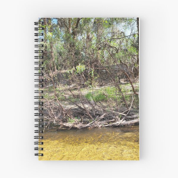 Item preview, Florida creek designed and sold by reformedfruit.