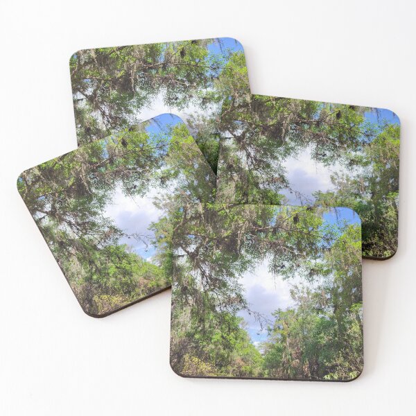 Item preview, Florida nature designed and sold by reformedfruit.