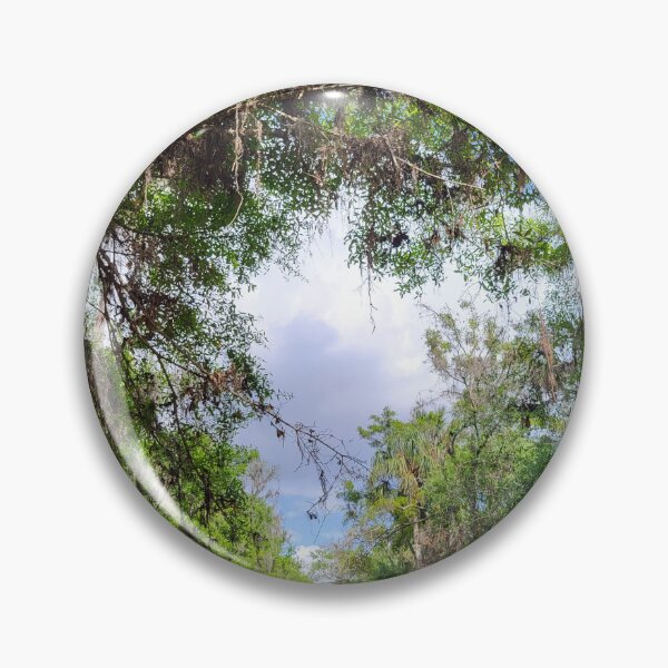 Artikelvorschau, Floridas Natur entworfen und verkauft von reformedfruit.