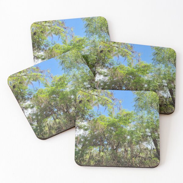 Item preview, Florida nature designed and sold by reformedfruit.