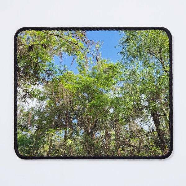 Item preview, Florida nature designed and sold by reformedfruit.