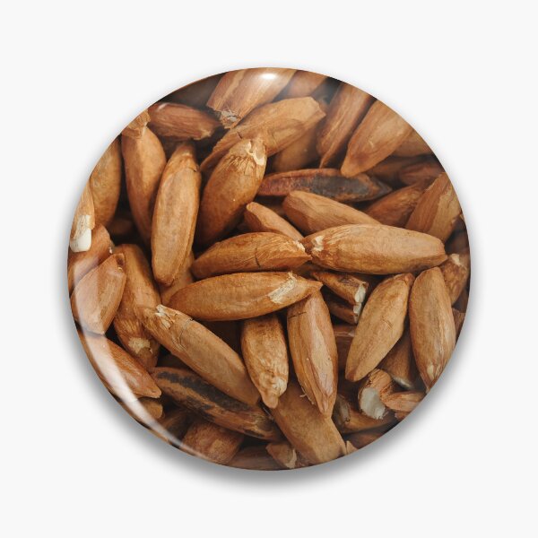 Item preview, Pili nuts designed and sold by jannelserrano.