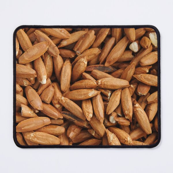 Item preview, Pili nuts designed and sold by jannelserrano.