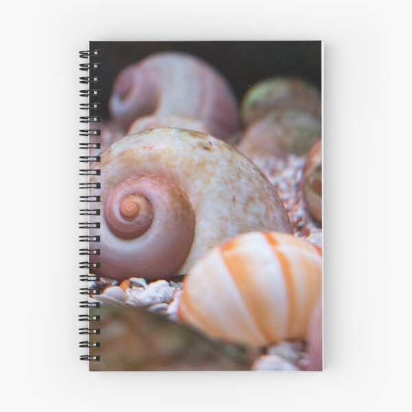 Item preview, Seashells on the Sea Floor designed and sold by catgrump.