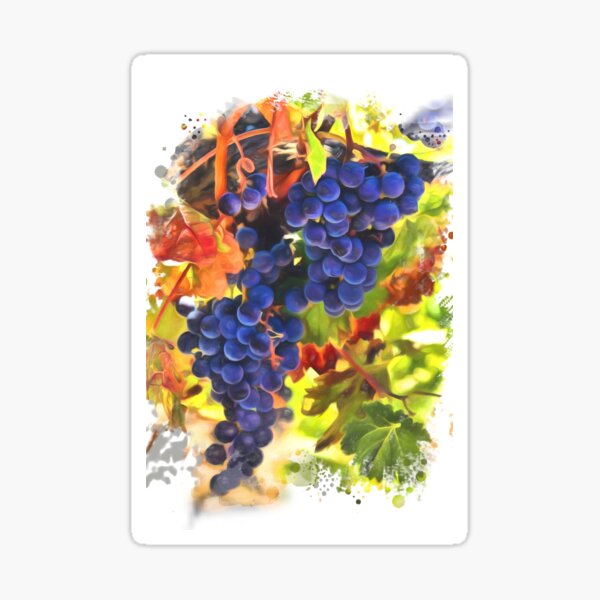 Item preview, Harvest Wine Grapes Artistic Kitchen Art designed and sold by Stephanie Laird.