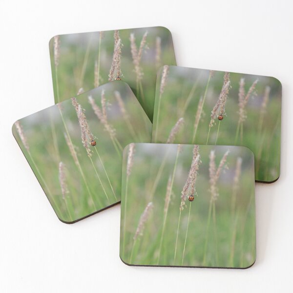 Item preview, Ladybug in grassland  designed and sold by kstanvir.