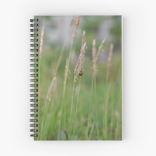 Item preview, Ladybug in grassland  designed and sold by kstanvir.