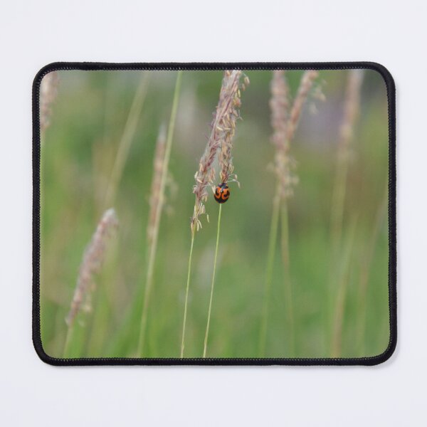 Item preview, Ladybug in grassland designed and sold by kstanvir.
