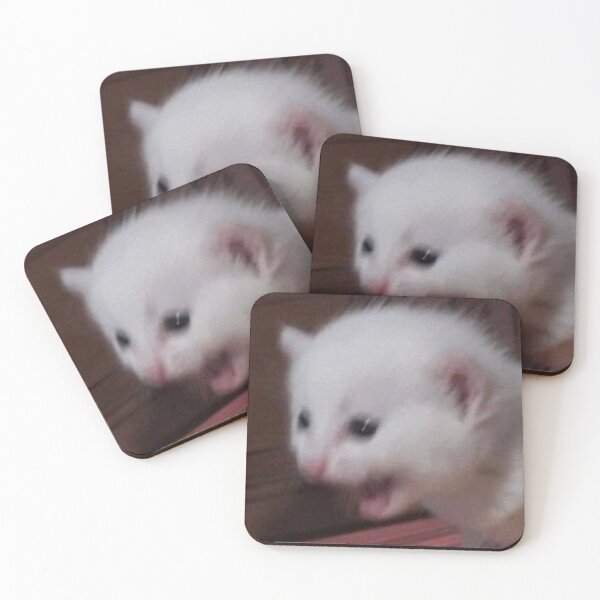 Cat Meme Coaster Funny Striped Cat Coaster Surprised Kitty 