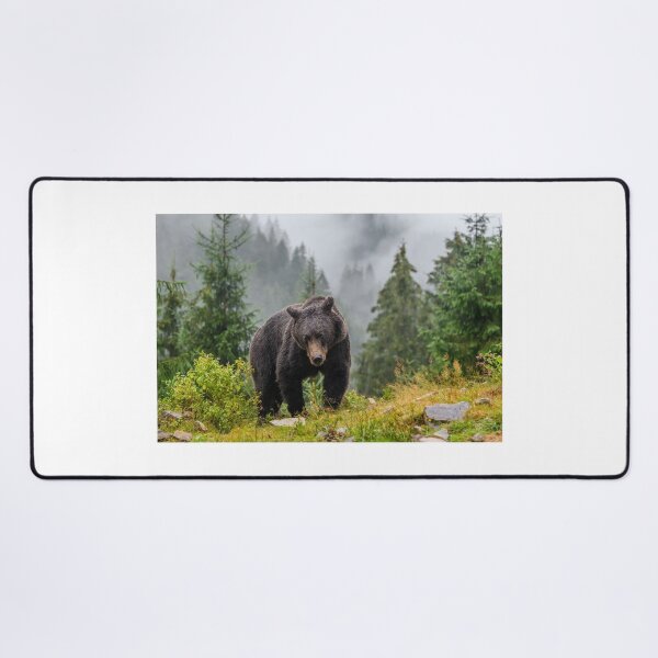 Item preview, Bear in the wilderness grizzly bear bear spray brown bear designed and sold by Streetsigns1957.
