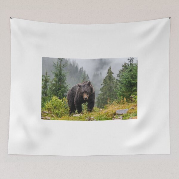 Item preview, Bear in the wilderness grizzly bear bear spray brown bear designed and sold by Streetsigns1957.