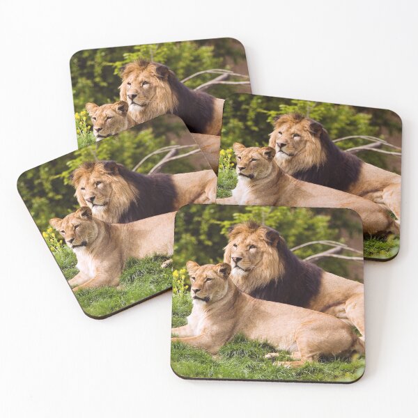 Item preview, Los leones inspeccionan su dominio. designed and sold by Streetsigns1957.
