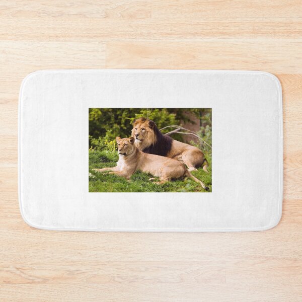Item preview, Lions survey their domain. designed and sold by Streetsigns1957.