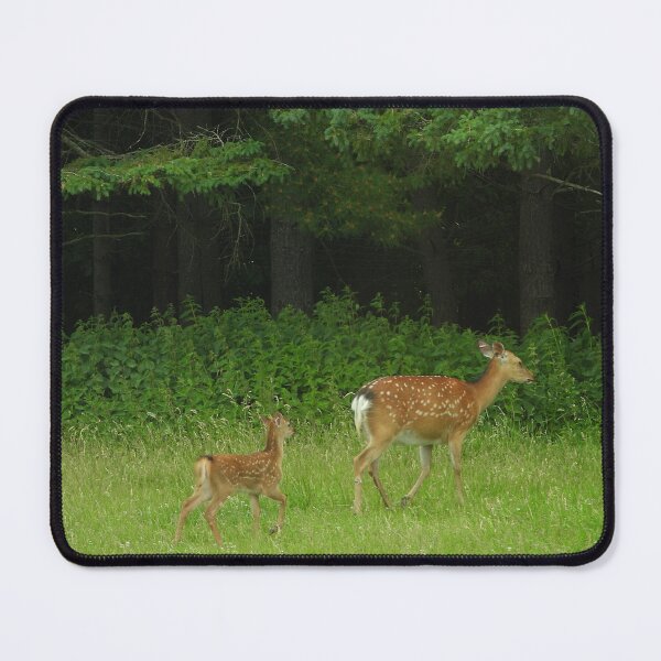 Item preview, Doe Follows Mother Deer designed and sold by PhotosBySusanne.