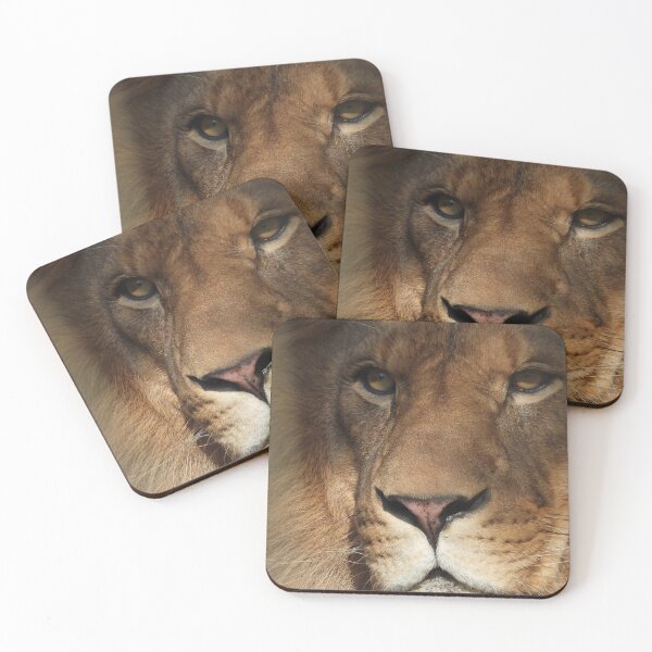 Item preview, The Lion King Up Close  designed and sold by PhotosBySusanne.