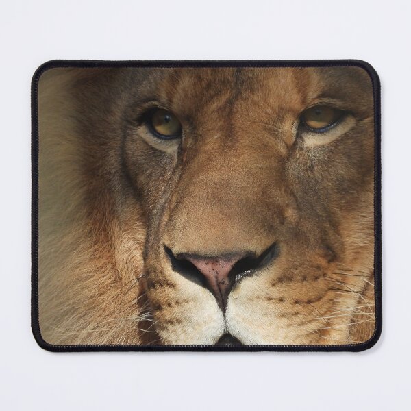 Item preview, The Lion King Up Close designed and sold by PhotosBySusanne.