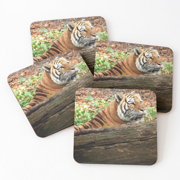 Item preview, Tiger enjoying some time alone designed and sold by PhotosBySusanne.