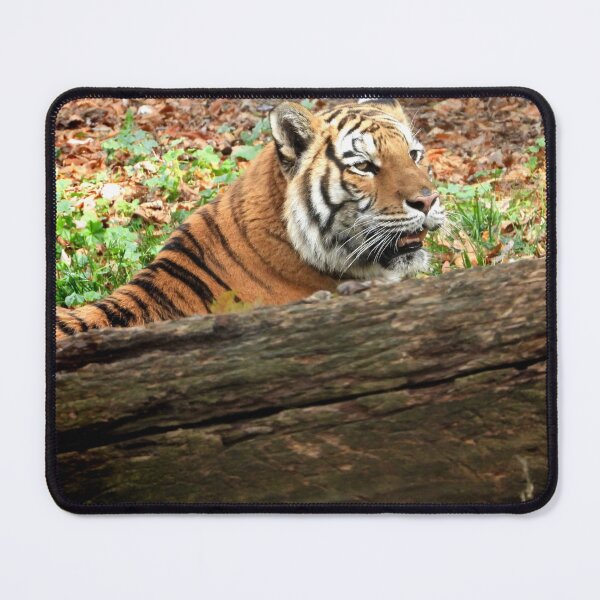 Item preview, Tiger enjoying some time alone designed and sold by PhotosBySusanne.