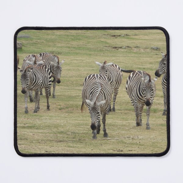 Item preview, A Zebra Tribe designed and sold by PhotosBySusanne.