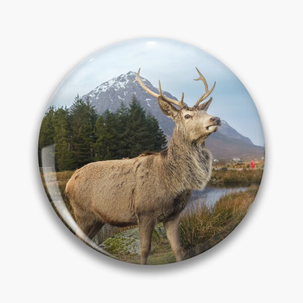 Item preview, Scottish Highland Stag  designed and sold by TMcG72.