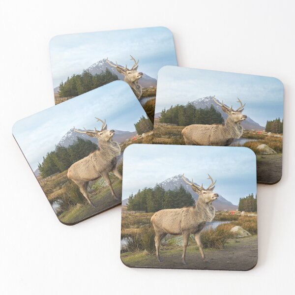 Item preview, Scottish Highland Stag  designed and sold by TMcG72.