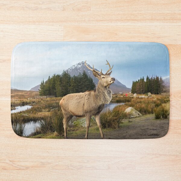 Item preview, Scottish Highland Stag  designed and sold by TMcG72.