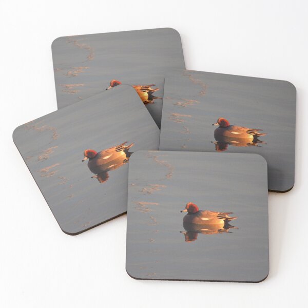Item preview, Rippled Reflections; A Male Wigeon designed and sold by wiggyofipswich.