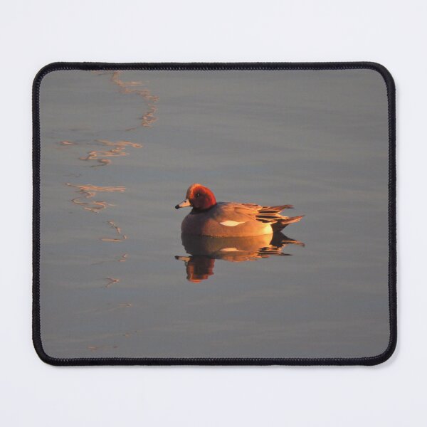 Item preview, Rippled Reflections; A Male Wigeon designed and sold by wiggyofipswich.