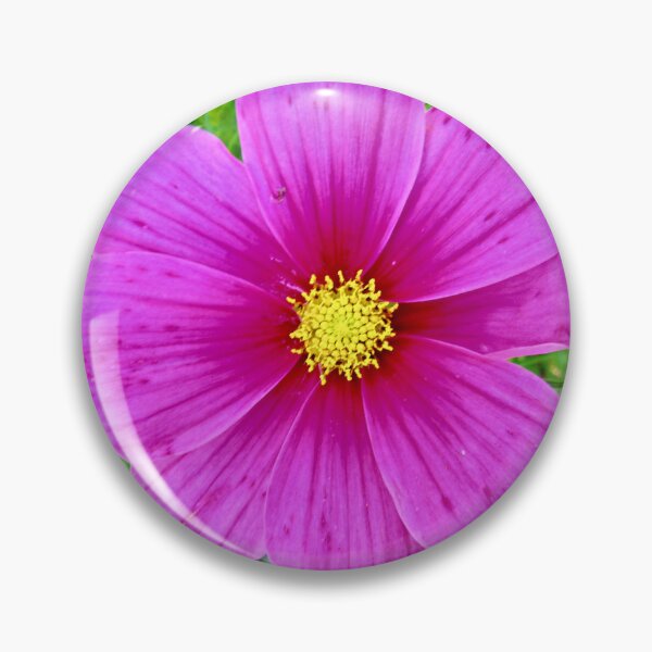 Item preview, Close up of a pink flower designed and sold by Shulie1.
