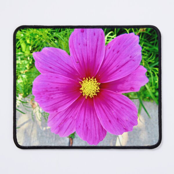 Item preview, Close up of a pink flower designed and sold by Shulie1.