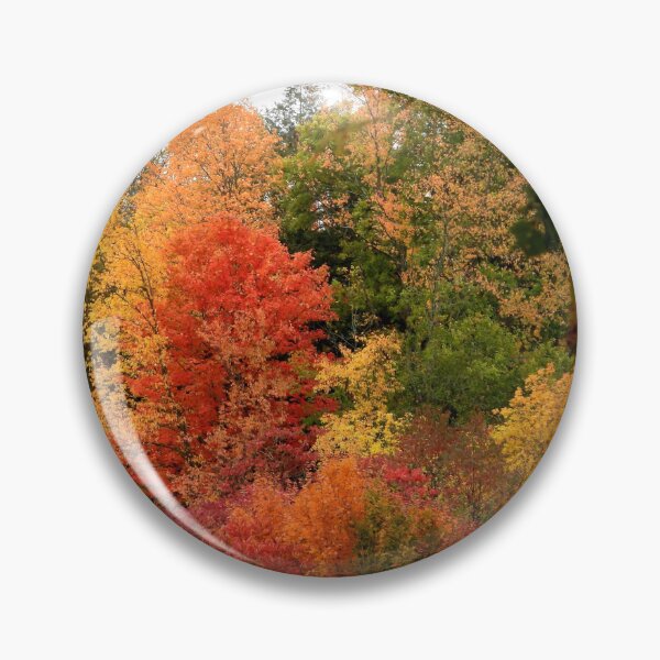 Item preview, Autumn Colours at Lowville Park designed and sold by PhotosBySusanne.