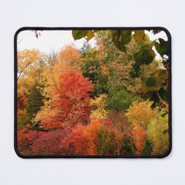 Item preview, Autumn Colours at Lowville Park designed and sold by PhotosBySusanne.