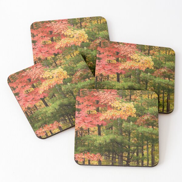 Item preview, Variety of Colours in a Canadian Autumn designed and sold by PhotosBySusanne.